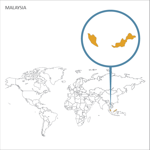 TPCI__INDIA'S IMPORT FROM MALAYSIA copy