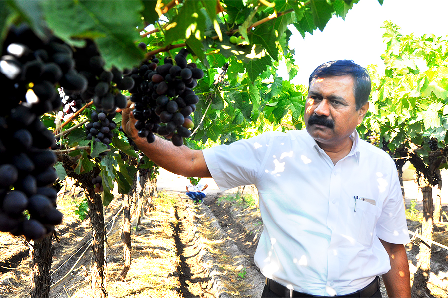 Rajaram Sangle, Director, Sangle Agro Processing Pvt. Ltd.