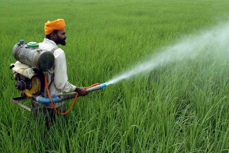MRL: A bane for India’s agricultural export ambitions