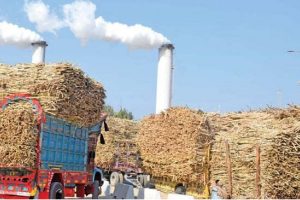 Indian-sugar-industry-Less-sweetness-more-affluence-tpci