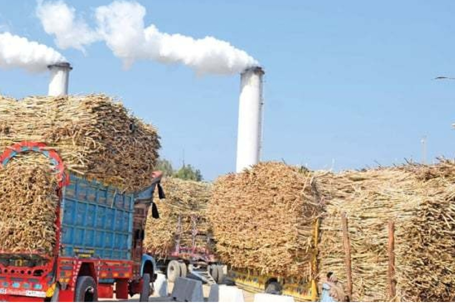 Indian-sugar-industry-Less-sweetness-more-affluence-tpci