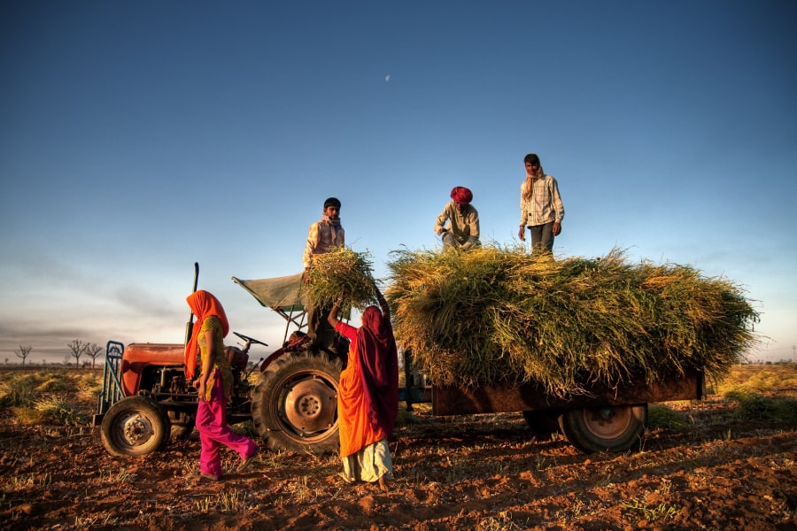 Budget 2023-24: Sustaining the agricultural economy