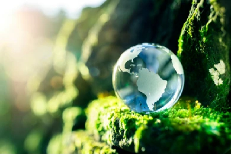 Green- Energy by Shutterstock