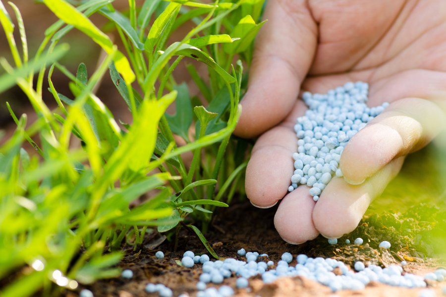 India eyes new fertilizer policy to reduce import dependence