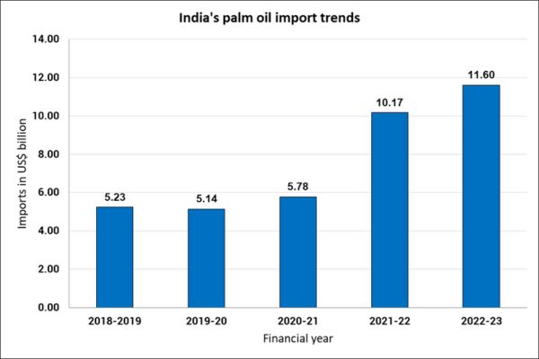 India's palm oil imports_TPCI